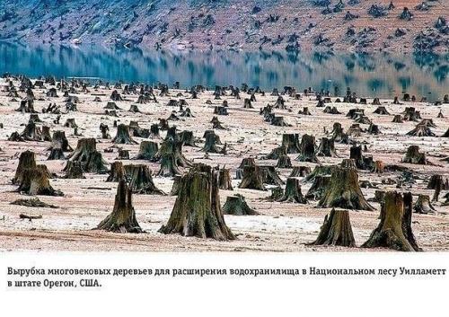 Избавление от накопившегося за день негатива. 05 Избавление от накопившегося за день негатива. 05