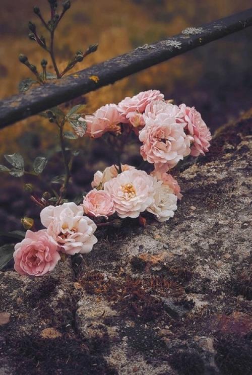 Не знаете, что лучше всего сделать после тренировки с отягощениями, чтобы способствовать максимальному восстановлению и росту мышц?