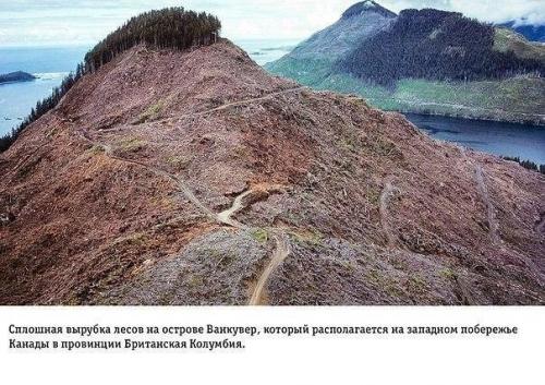 Избавление от накопившегося за день негатива. 04 Избавление от накопившегося за день негатива. 04