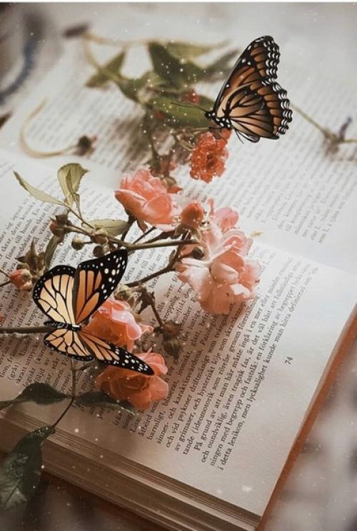 Не знаете, что лучше всего сделать после тренировки с отягощениями, чтобы способствовать максимальному восстановлению и росту мышц? 04