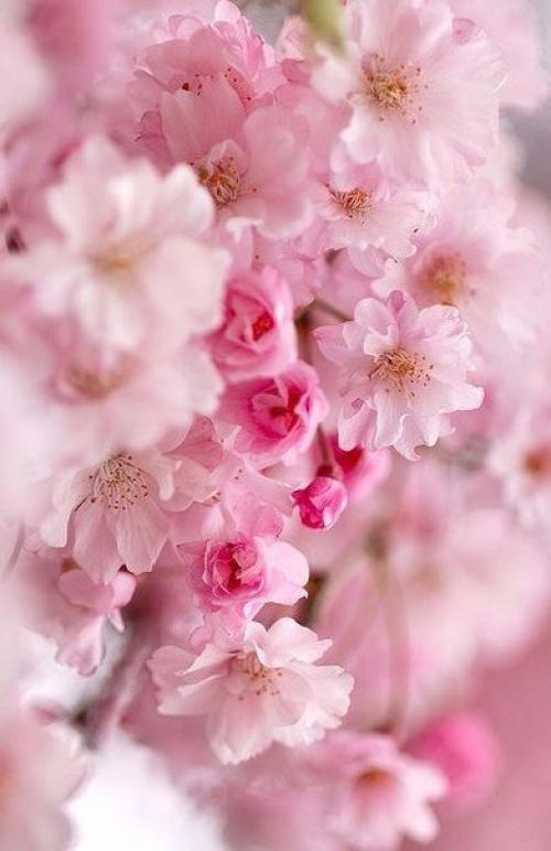 Я считаю, что женщиной быть Легче, чем мужчиной! 01