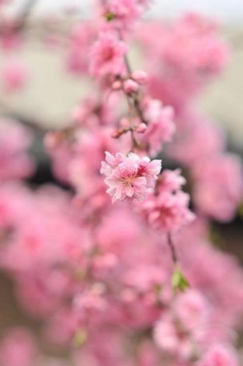 Я считаю, что женщиной быть Легче, чем мужчиной! 02