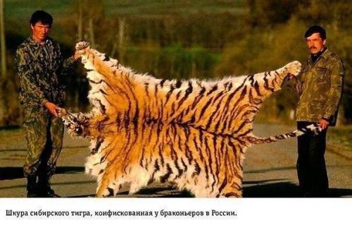 Избавление от накопившегося за день негатива. 03 Избавление от накопившегося за день негатива. 03