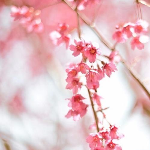 Я считаю, что женщиной быть Легче, чем мужчиной! 04