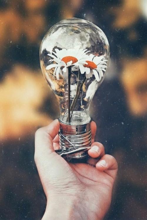 Не знаете, что лучше всего сделать после тренировки с отягощениями, чтобы способствовать максимальному восстановлению и росту мышц? 01