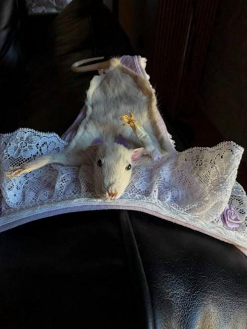 Блогер Анастасия миронова в отрыв после расставания с Navai ушла. 01