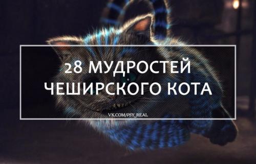 28 мудростей чеширского кота? 1.