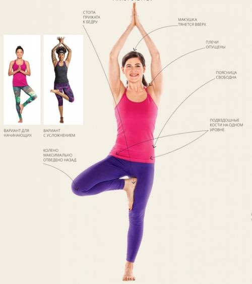 5 преимуществ позы дерева. 03