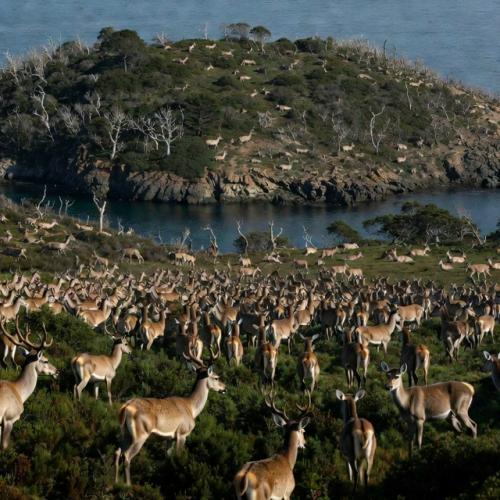 Численность человечества уже давно вышла за рамки экологически устойчивого уровня и приблизилась к опасной черте. 02