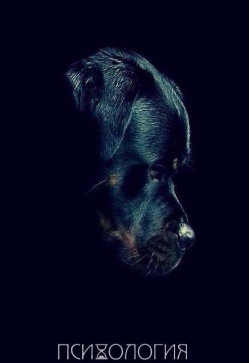 Ты никогда не убедишь собаку, что ты не тот, за кого себя выдаешь. 04