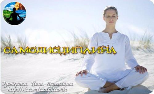 Самодисциплина.  Пятью столпами самодисциплины являются: принятие, сила воли, упорный труд, усердие и настойчивость.