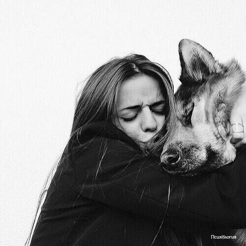 Чем больше узнаю людей, тем больше нравятся собаки.