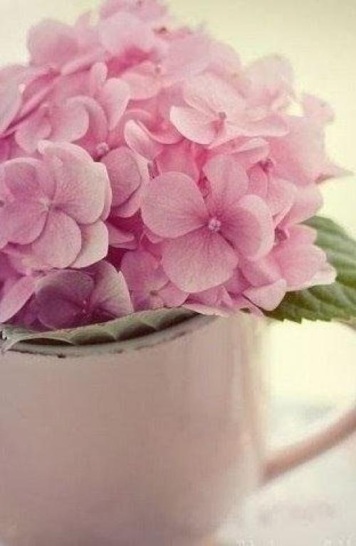 Красота заключается не в том, чтобы иметь красивое лицо, а в том, чтобы иметь красивые мысли, красивое сердце и красивую душу. 02