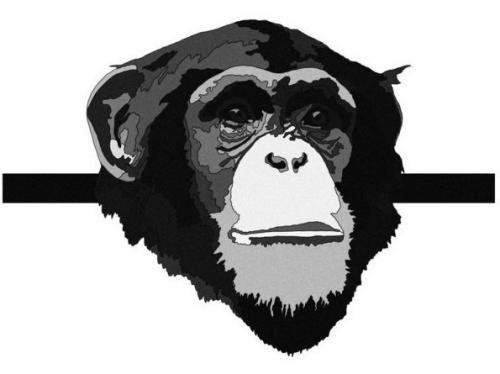 Клетка.  В ней 5 обезьян.