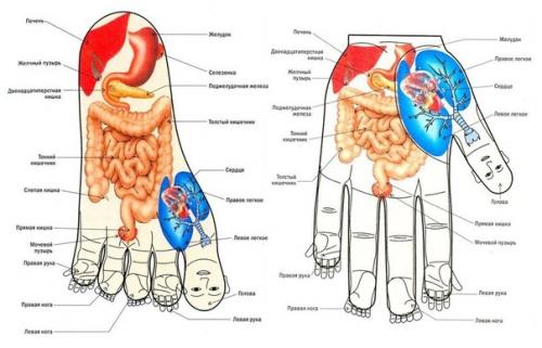Быстрый массаж на все случаи жизни: 04