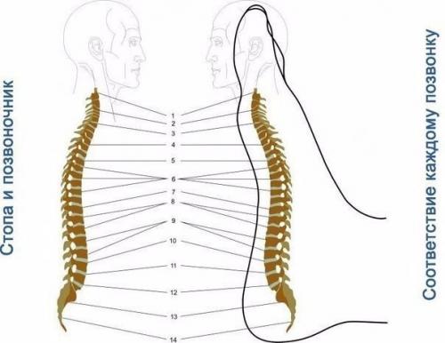 Быстрый массаж на все случаи жизни: 01