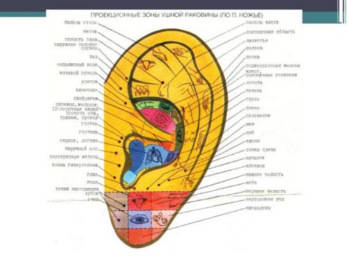 Быстрый массаж на все случаи жизни: 05