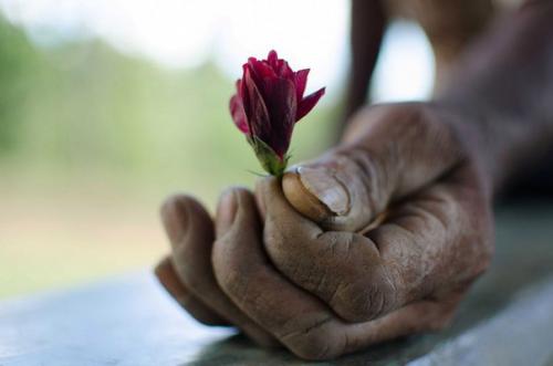 15 причин, по которым вы разрушаете свою жизнь, сами того не замечая.

