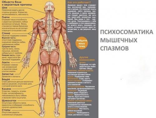Психосоматика мышечных спазмов.