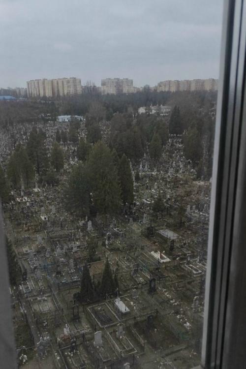 Контраст двух миров: вид из окна квартиры в Краснодаре озадачил пользователей соцсетей.
