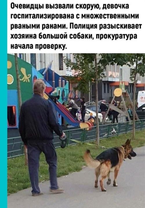 Большие агрессивные собаки. 02