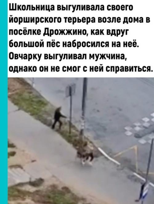 Большие агрессивные собаки. 01